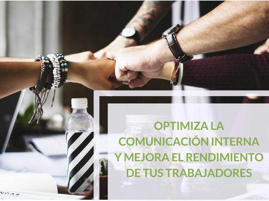 CRM wordpress